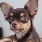 Foto da Mana