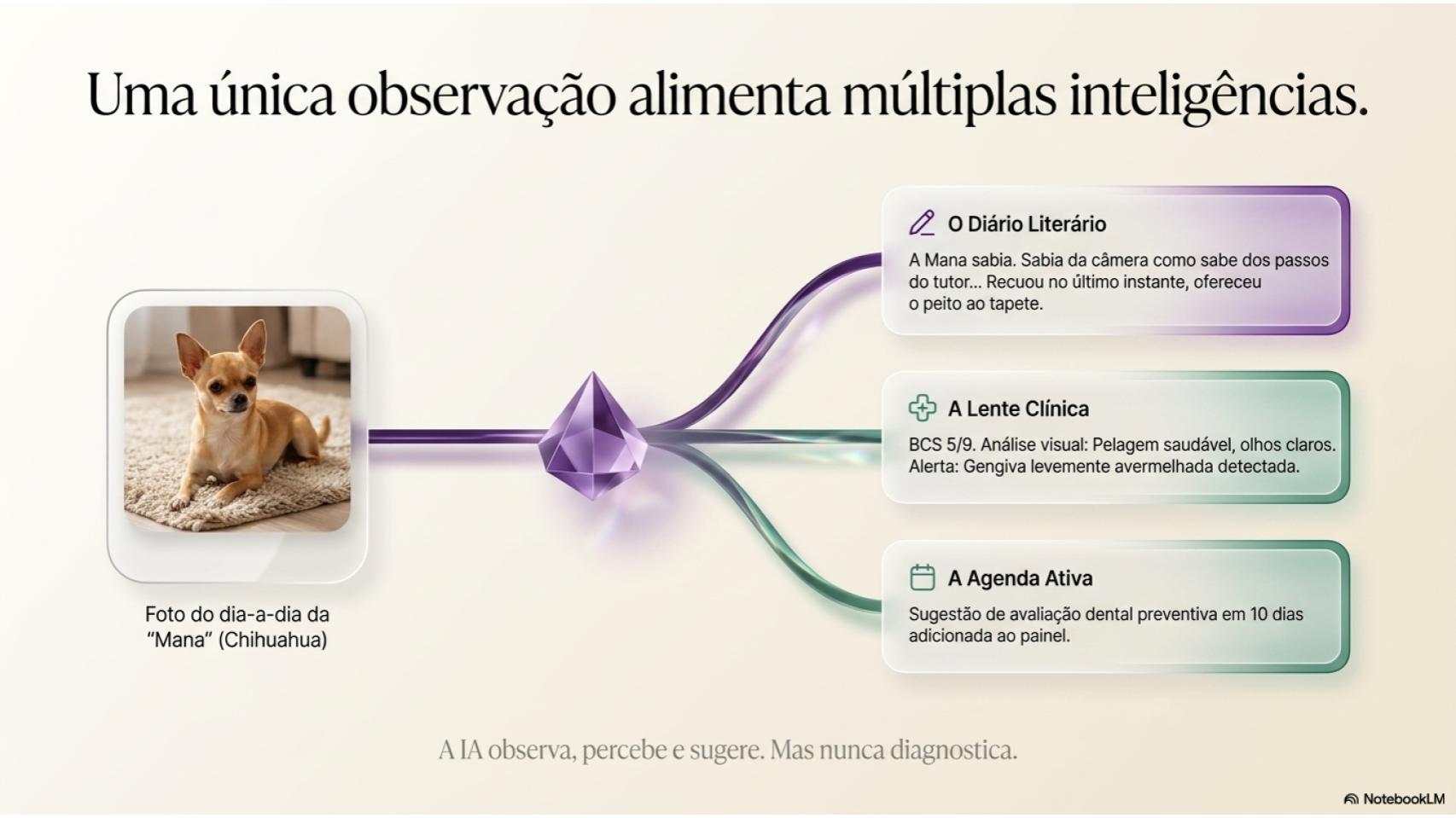 auExpert slide 4